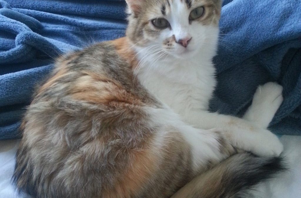 Lili