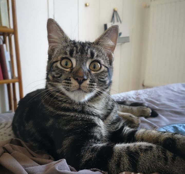 Winnie